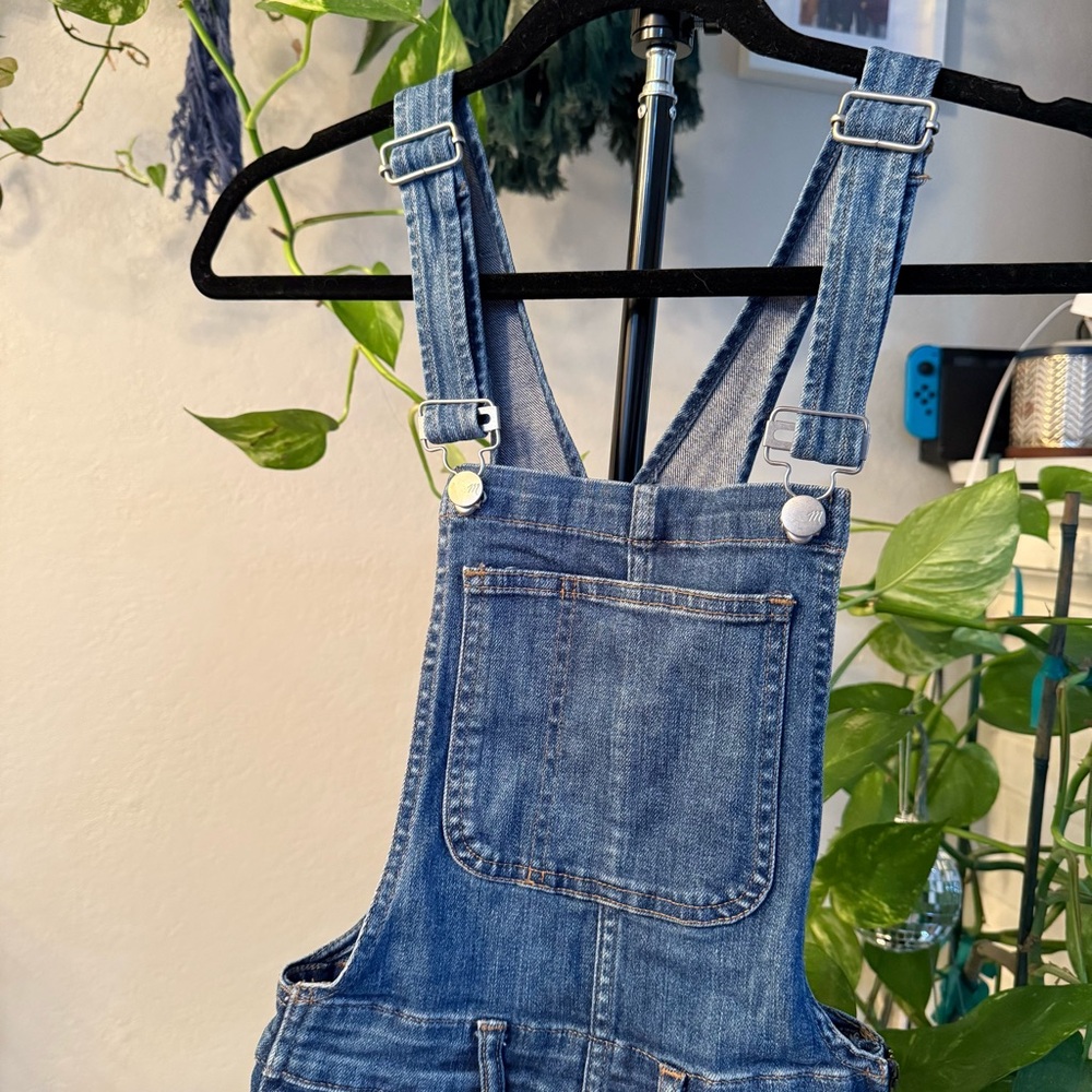 Madewell Denim Overalls View 2